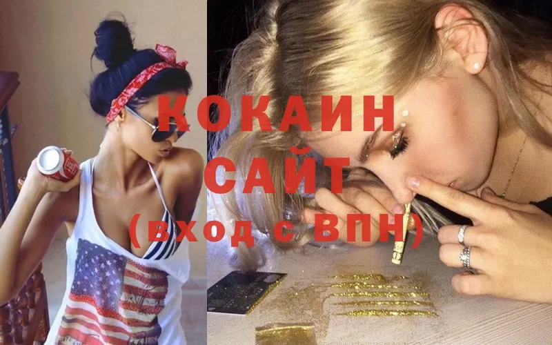 закладки  Знаменск  COCAIN Fish Scale 