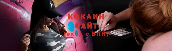 метадон Няндома