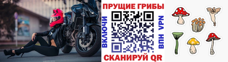 даркнет сайт  Знаменск  Галлюциногенные грибы мухоморы 