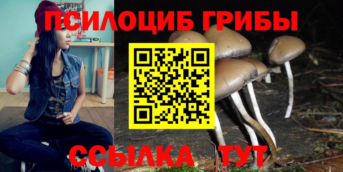 Галлюциногенные грибы прущие грибы Знаменск