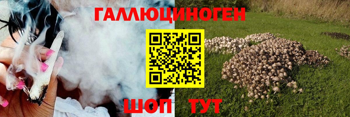 Галлюциногенные грибы мицелий Знаменск
